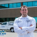 Big Blue Bug Solutions - Pest Control Services