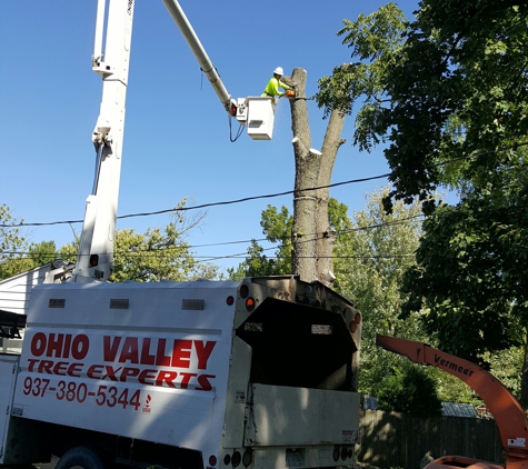 Ohio Valley Tree Experts LLC - Dayton, OH