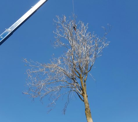 Wild Bills Tree Service - Bountiful, UT