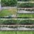Sydney Lawn & Garden Blitz - Gardeners