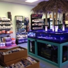 Tiki Corals gallery