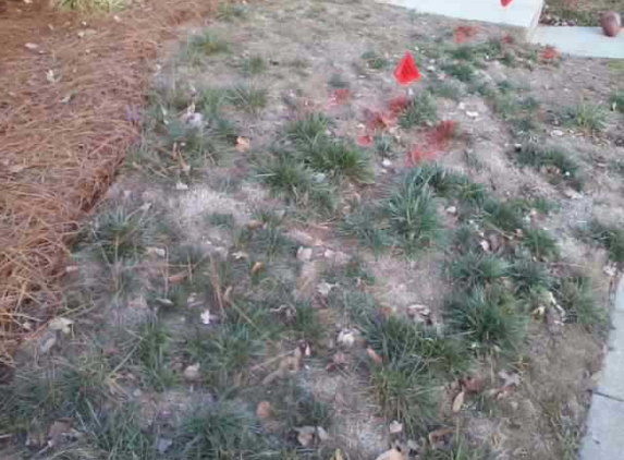 Terra Green Landscapes Inc - Concord, NC. neighbors lawn still not done, I had to trim mine with an electric knife ;), there was supposed to be seeding done, none done for these