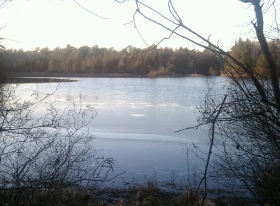 Cranberry Bog County Park - Riverhead, NY