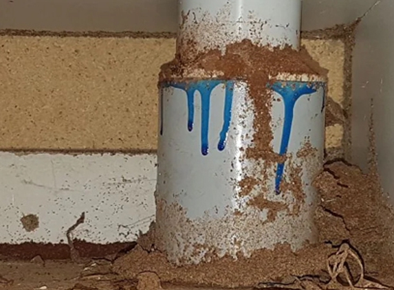 Keiran Mortimer Pest Control - Wilsonton, QLD