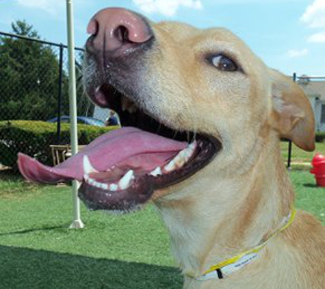 Countryside Kennels - Owings, MD