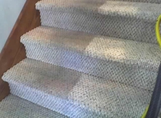 Crazy Clean Carpet Cleaning - Upholstery - Tile and Grout