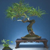 Gallery Image Number 4