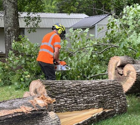 Arborall Tree Service - Flowery Branch, GA