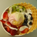 Cocoaberry Frozen Yogurt - Yogurt