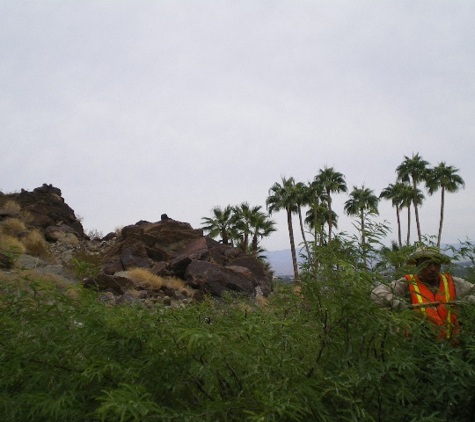 Pro Landscaping Inc. - Thousand Palms, CA