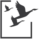 RBT CPAs, LLP - Accounting Services