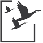 RBT CPAs, LLP