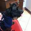 Theodore Veterinary Hospital gallery