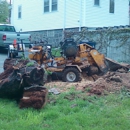 Stargardens tree stump grinding. - Tree Service