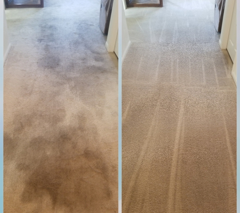 Smith's All-Natural Carpet Cleaning Service - Manor, TX