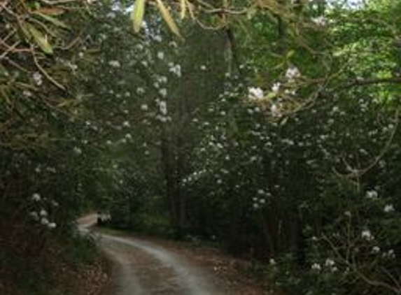 Andy's Trout Farm & Cabins - Otto, NC