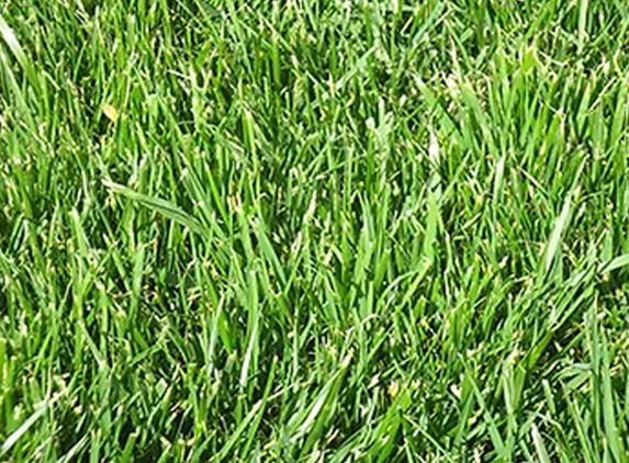 Cowra Turf - Cowra, NSW