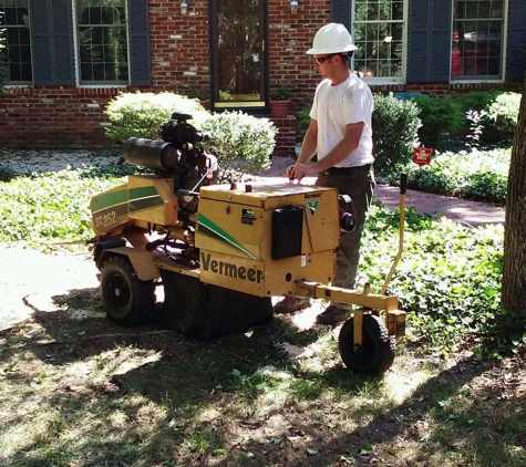 Cornerstone Tree Service - Medford, NJ