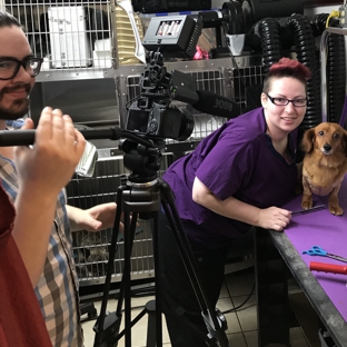 Port Royal Veterinary Hospital - Port Royal, SC. Sarah and Ricky being superstars.