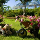 Cutting Edge Landscapes - Landscape Contractors