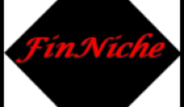 FinNiche, LLC - Bristow, VA. CPA Advisory, Financial Management and Project Solutions, Accounting and Bookkeeping Services and Tax Services