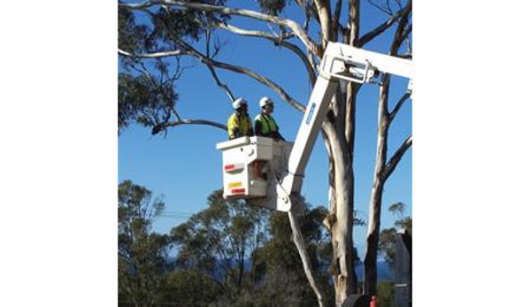 Sapphire Coast Firewood - Queanbeyan West, NSW