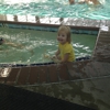 Little One's Swim gallery