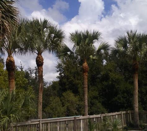 Central Florida Tree Service - Apopka, FL