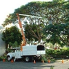 Superior Tree Service gallery