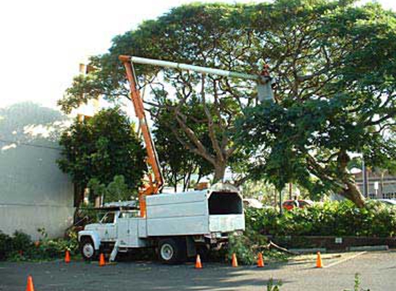 Superior Tree Service - Anacortes, WA