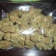 Weeds Mail: Buy Weed Online - Weed Delivery