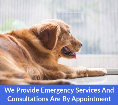 Halls Head Small Animal Clinic - Halls Head, WA. We Provide Emergency Services And Consultations Are By Appointment