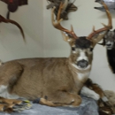 Living Designs Taxidermy - Taxidermists