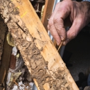 South Bay Termite Control - Pest Control Services