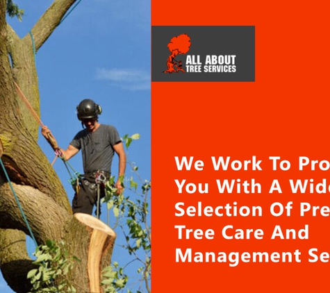 All About Tree Services QLD - Elanora, QLD. We Work To Provide You With A Wide Selection Of Premium Tree Care And Management Services