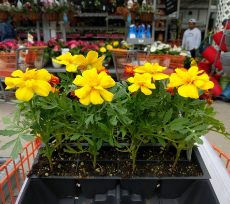 The Home Depot - Waltham, MA