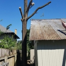 Bussey's Tree Service - Tree Service