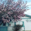 Sequim's Little Explorers Early Learning Center gallery