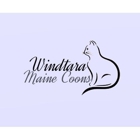 Windtara Maine Coons