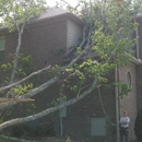 Spartan Tree Service - Tree Service