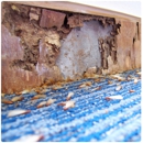 Massey Services Pest Control - Termite Control