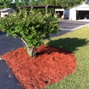 PORTER GREEN LAWN CARE - Landscaping & Lawn Services