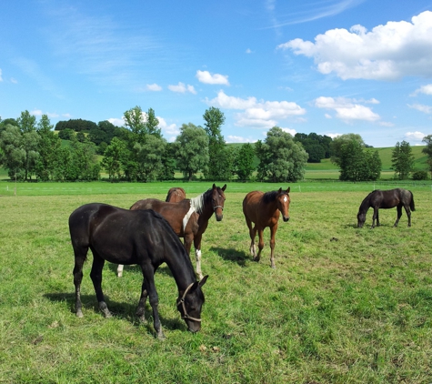 Polk Equine - Lake Wales, FL