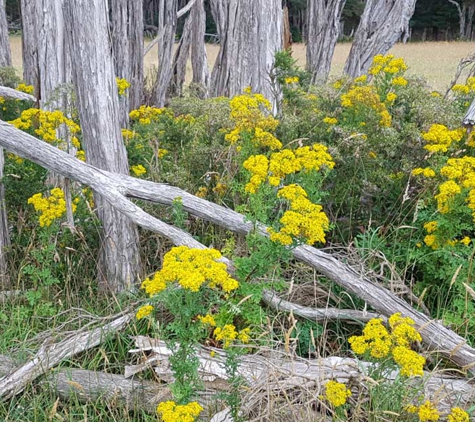 Acres land Management Services - Warragul, VIC