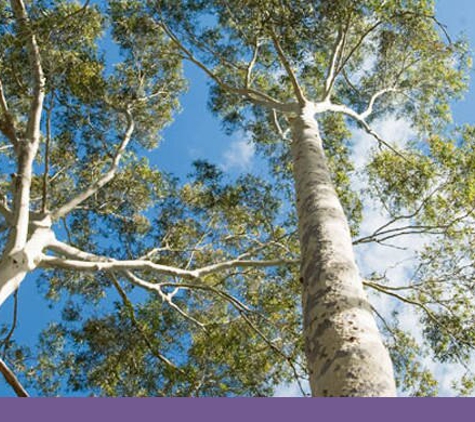 Palmdale Lawn Cemetery & Memorial Park - Visit Us Online - Palmdale, NSW