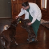 Hometown Veterinary Clinic gallery