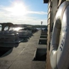 Raccoon Lake Boat Rental gallery