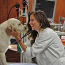 Veterinary Specialty and Emergency Center of Thousand Oaks - Veterinary Clinics & Hospitals