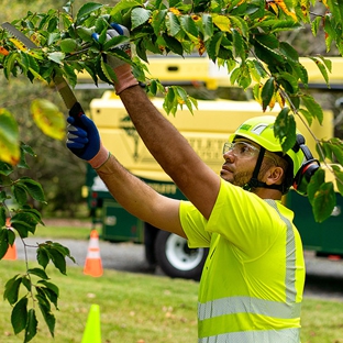 Bartlett Tree Experts - Dublin, PA