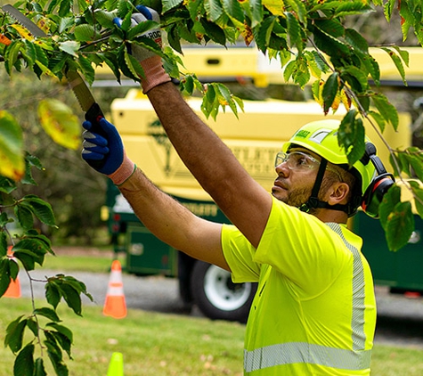 Bartlett Tree Experts - Carlisle, PA